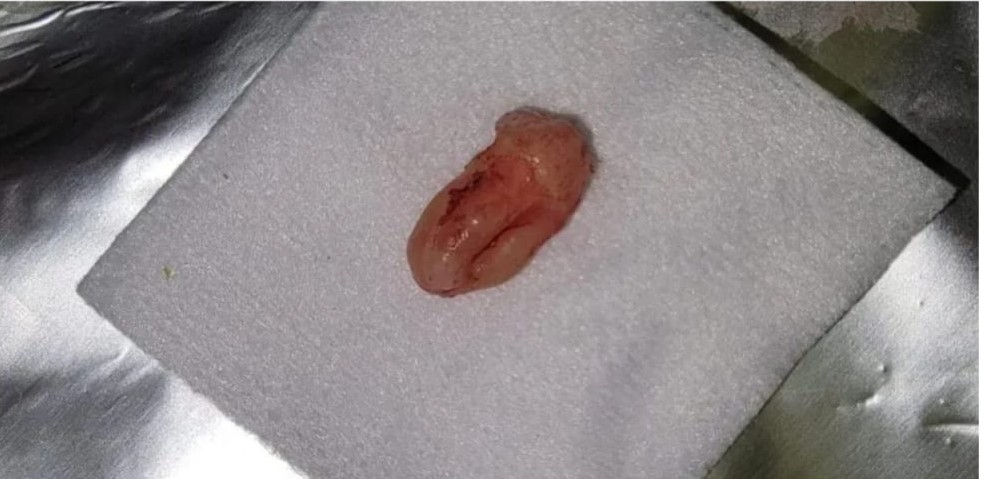 WhatsApp-Image-2024-05-29-at-14.49.45_a1ca4900-1024x102421